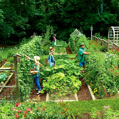Gardening