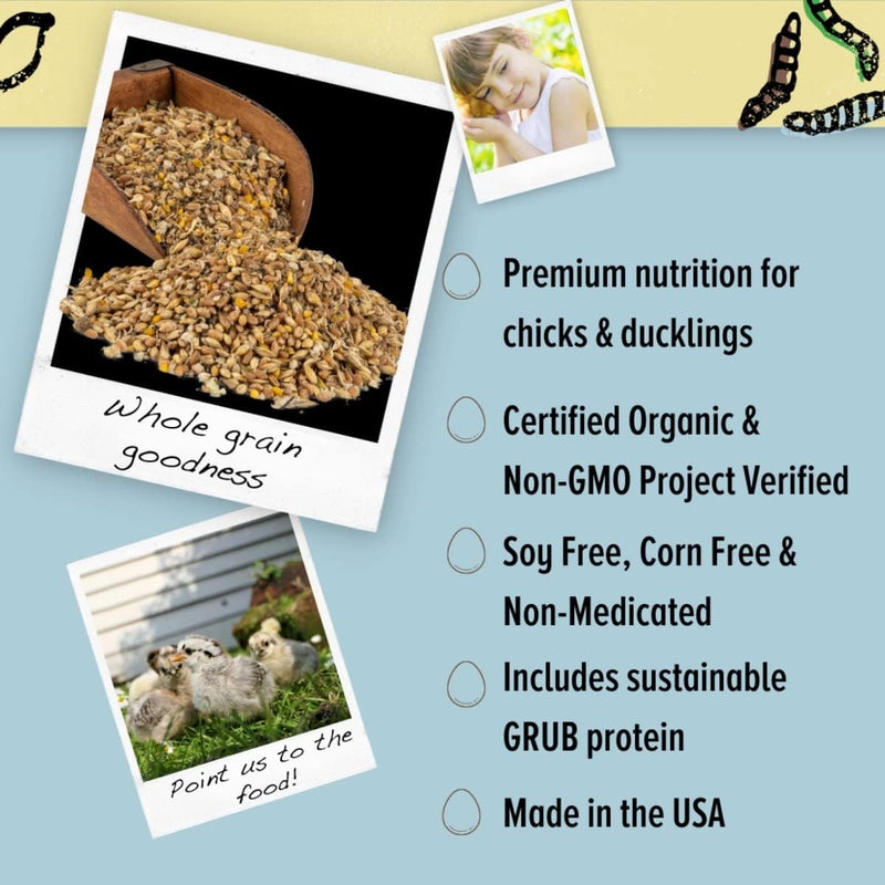 Organic Grower Layer Starter Mash Chicken Feed Non GMO