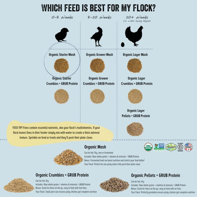 Organic Grower Layer Starter Mash Chicken Feed Non GMO