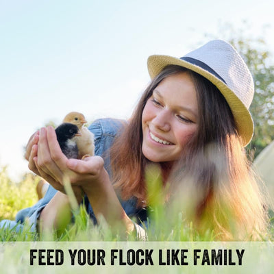 Organic Grower Layer Starter Mash Chicken Feed Non GMO