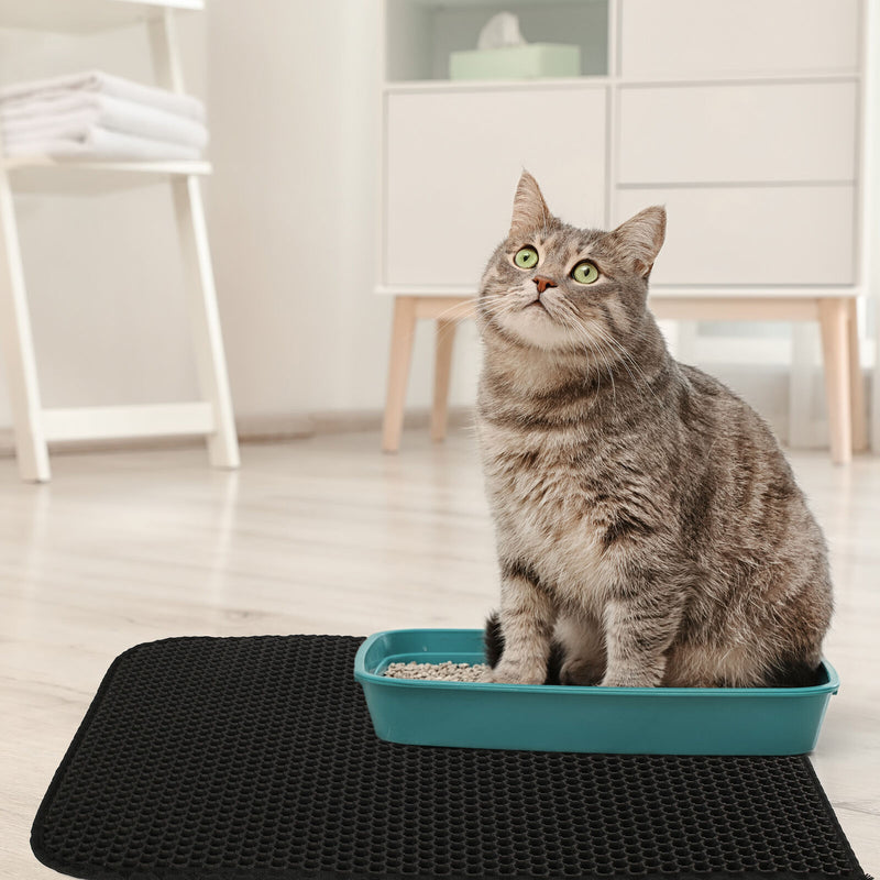 Kitty Cat Litter Mat Trapping Honeycomb Double Layer Design Waterproof 24X15&
