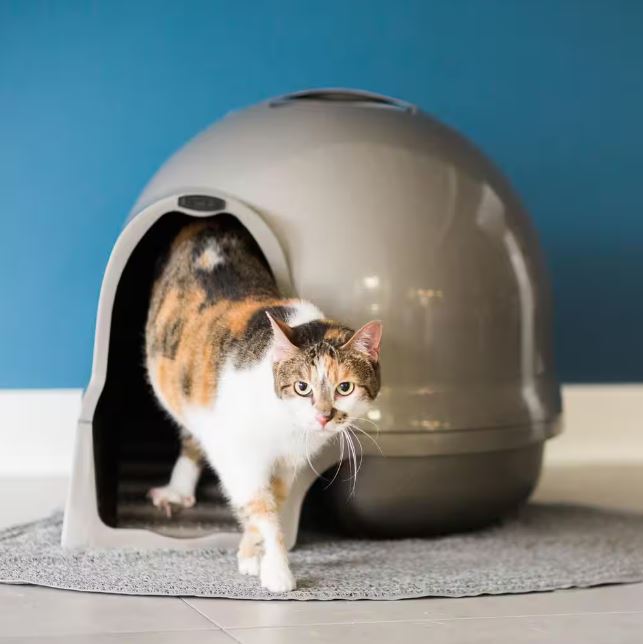 Booda Dome Titanium Cleanstep Cat Litter Box