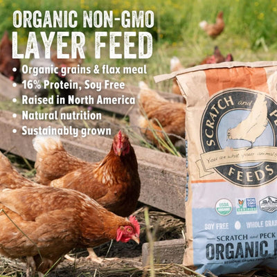 Organic Grower Layer Starter Mash Chicken Feed Non GMO