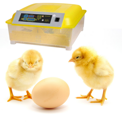 Egg Incubator for Hatching Eggs, Chicken Quail Duck Pigeon Egg Hatching Incubator