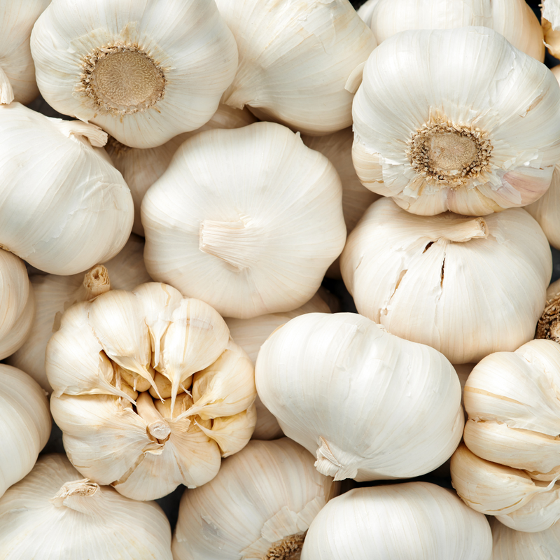 20Pcs Giant Garlic Seeds Heirloom Organic Bulb Seed Home Garden Vegetable Seed