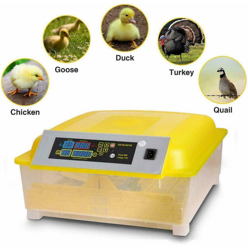 Egg Incubator for Hatching Eggs, Chicken Quail Duck Pigeon Egg Hatching Incubator
