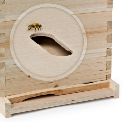 Beehive 20 Frame Bee Box Starter Kit Langstroth Beekeeping Supplies for Beekeepers