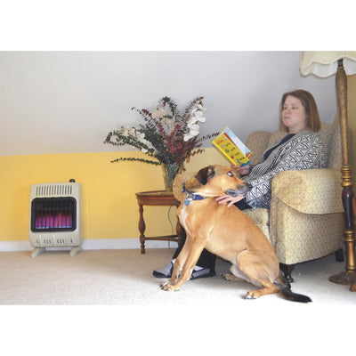 Propane Room Wall Heater Vent-Free Blue Flame 10,000 BTU