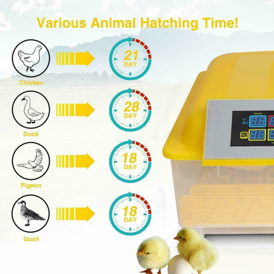 Egg Incubator for Hatching Eggs, Chicken Quail Duck Pigeon Egg Hatching Incubator