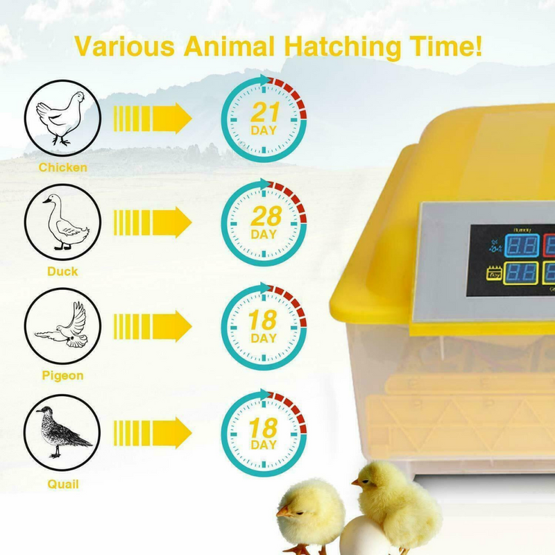 Egg Incubator for Hatching Eggs, Chicken Quail Duck Pigeon Egg Hatching Incubator