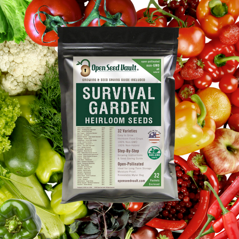 Survival Garden 15,000 Non GMO Heirloom Vegetable Seed 32 Variety