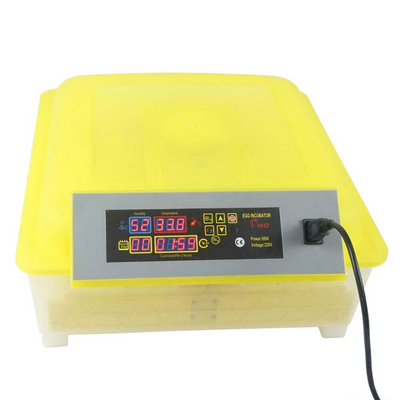 Egg Incubator for Hatching Eggs, Chicken Quail Duck Pigeon Egg Hatching Incubator