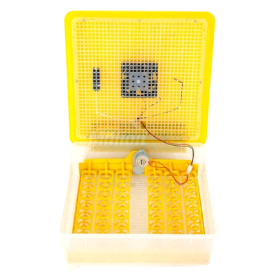 Egg Incubator for Hatching Eggs, Chicken Quail Duck Pigeon Egg Hatching Incubator