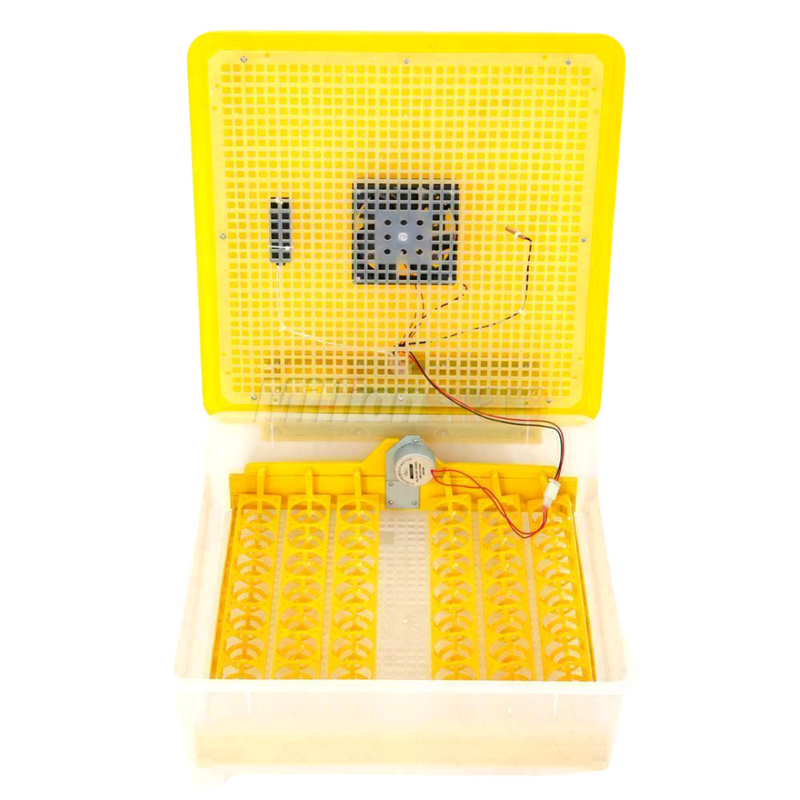 Egg Incubator for Hatching Eggs, Chicken Quail Duck Pigeon Egg Hatching Incubator