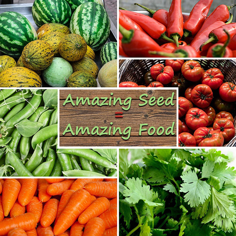 Survival Garden 22,000 Non-GMO Heirloom Vegetable Seed 34 Variety