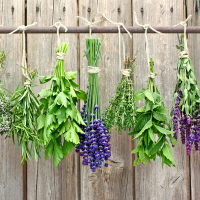20 Variety Heirloom Herb Culinary Seeds Pack Survival Garden Organic Food Set