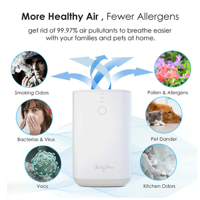 Large Room Air Purifier Cleaner HEPA Filter Remove Odor Dust Mold Home Allergies