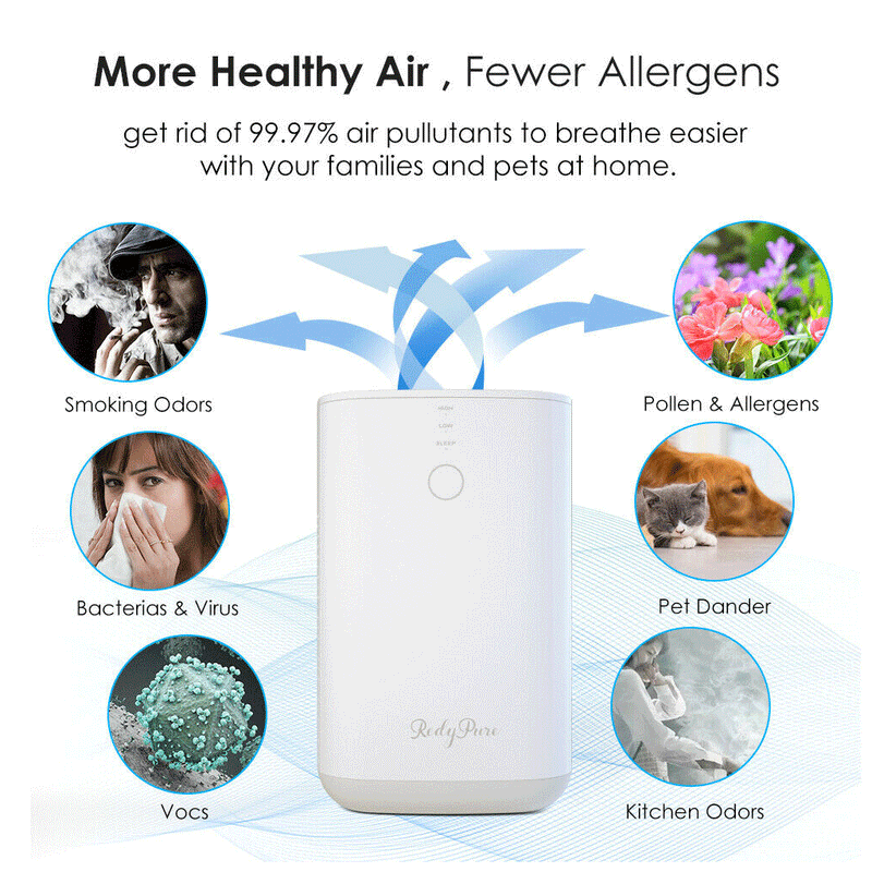 Large Room Air Purifier Cleaner HEPA Filter Remove Odor Dust Mold Home Allergies