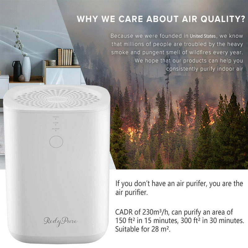 Large Room Air Purifier Cleaner HEPA Filter Remove Odor Dust Mold Home Allergies
