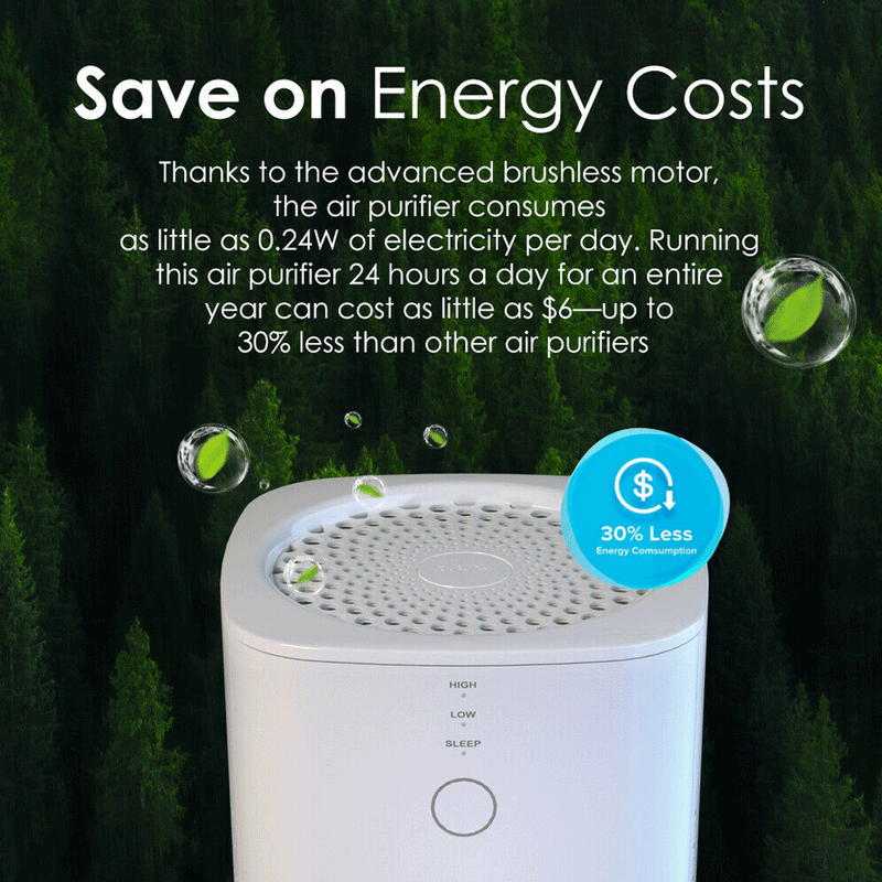 Large Room Air Purifier Cleaner HEPA Filter Remove Odor Dust Mold Home Allergies