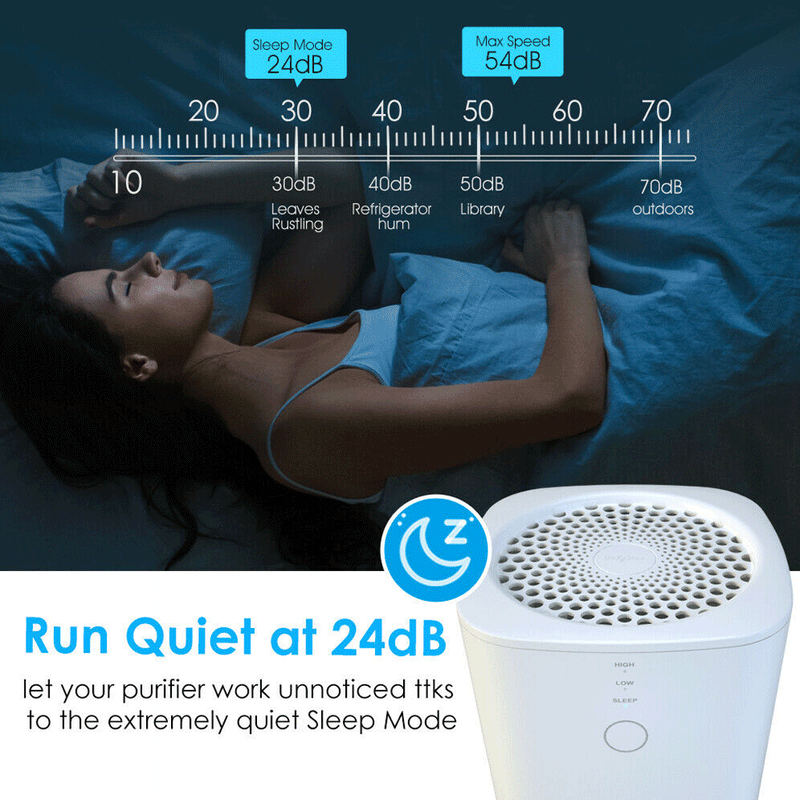 Large Room Air Purifier Cleaner HEPA Filter Remove Odor Dust Mold Home Allergies