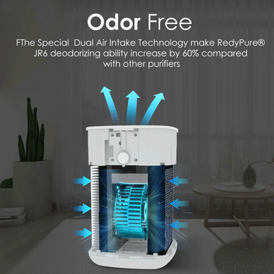 Large Room Air Purifier Cleaner HEPA Filter Remove Odor Dust Mold Home Allergies