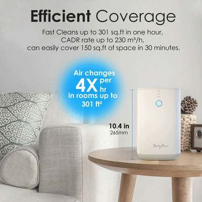 Large Room Air Purifier Cleaner HEPA Filter Remove Odor Dust Mold Home Allergies