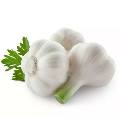 20Pcs Giant Garlic Seeds Heirloom Organic Bulb Seed Home Garden Vegetable Seed