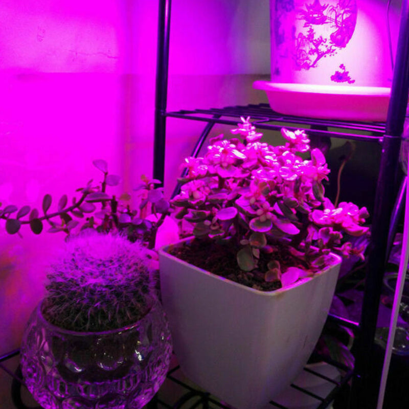 LED Grow Light 200LED UV IR Growing Lamp for Indoor Plants Hydroponic Plant