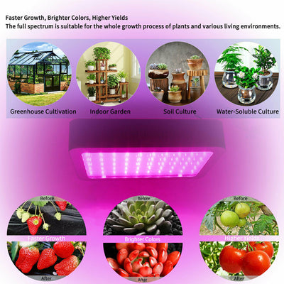 LED Grow Light 3000W 2000W 1800W 1500W 1000W Full Spectrum Veg Flower Hydroponic