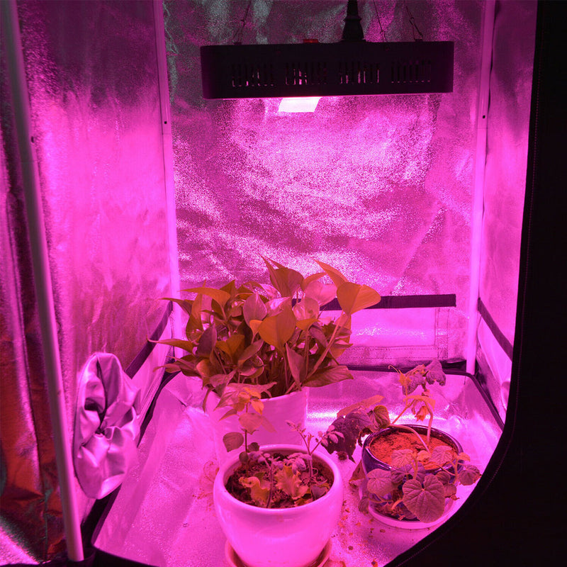 LED Grow Light 3000W 2000W 1800W 1500W 1000W Full Spectrum Veg Flower Hydroponic
