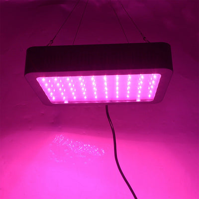 LED Grow Light 3000W 2000W 1800W 1500W 1000W Full Spectrum Veg Flower Hydroponic