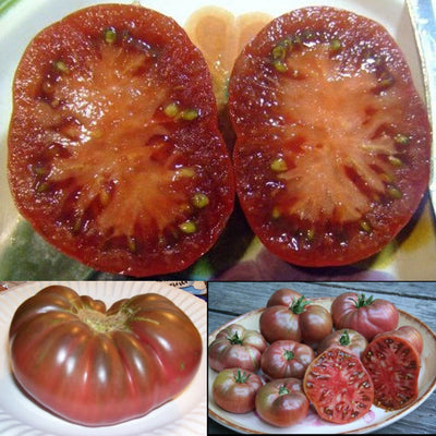 100 Heirloom Purple Tomato Cherokee Lycopersicon Fruit Vegetable Garden Seeds