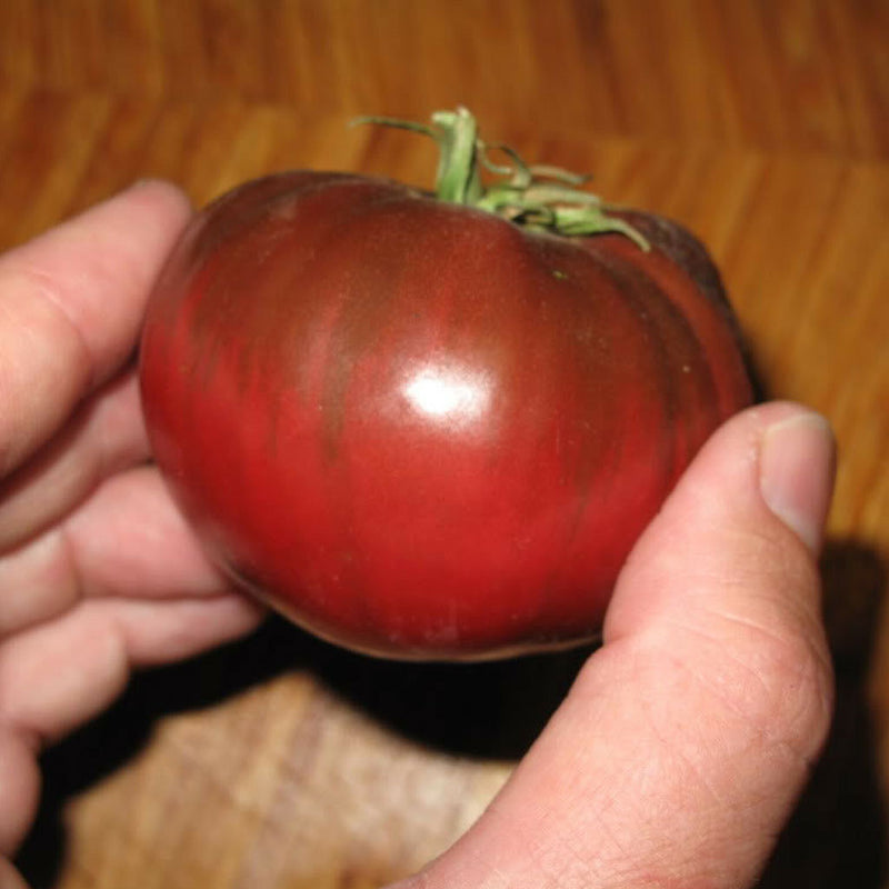 100 Heirloom Purple Tomato Cherokee Lycopersicon Fruit Vegetable Garden Seeds
