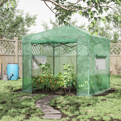 8' x 8' x 8' Portable Pop-up Walk-in Greenhouse with Roll-up Door & 2 Windows for Growing Flowers Herbs Vegetables