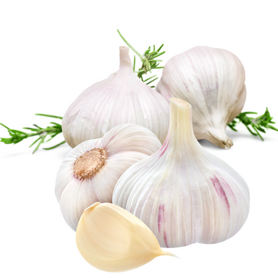 20Pcs Giant Garlic Seeds Heirloom Organic Bulb Seed Home Garden Vegetable Seed