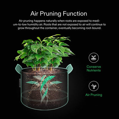 5-Pack Grow Bags Heavy Duty 300G Thickened Nonwoven Plant Fabric Pots with Handles